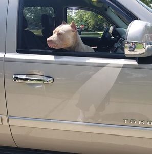 Meet your Posher, Rick